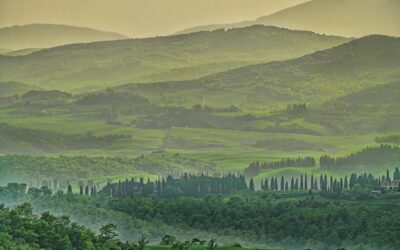 La bellezza della terra verdeggiante