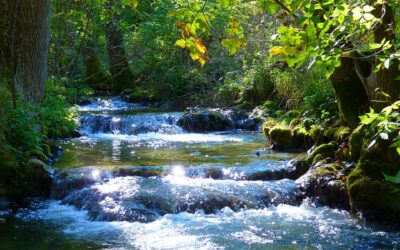 Cosa fa la natura per noi?