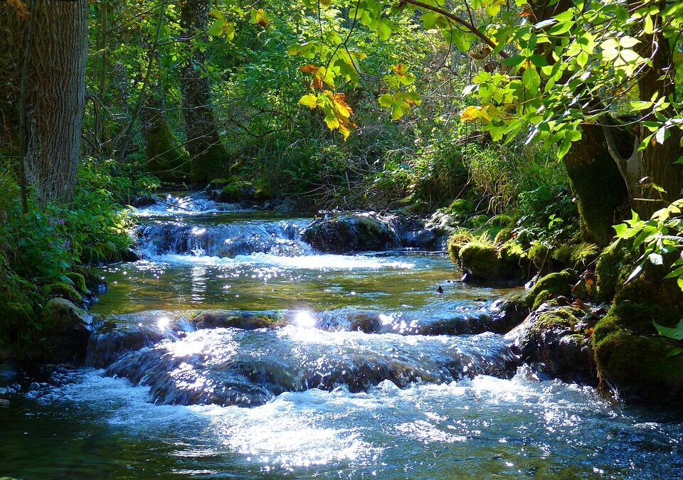 Cosa fa la natura per noi?